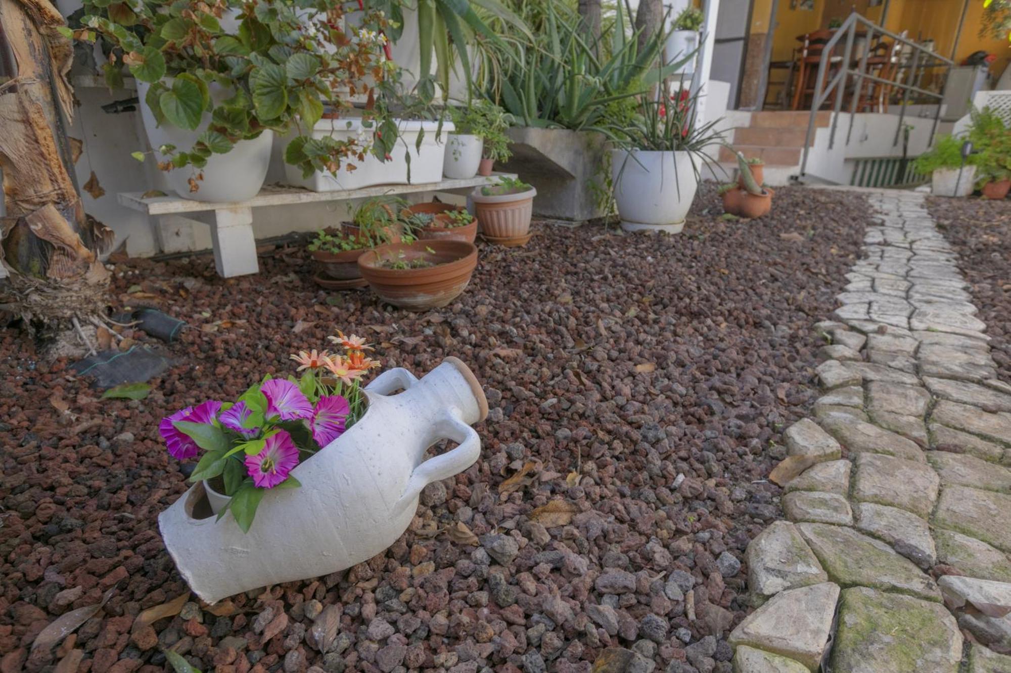 Loft Cerca Del Mar Tenerife Punta Del Hidalgo Eksteriør billede